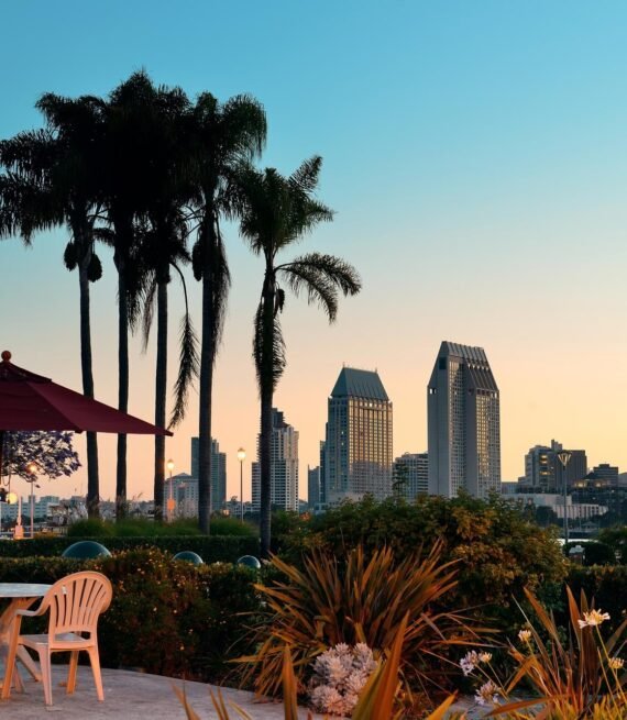 san-diego-dawn-early-morning-with-palm-tree-silhouette_649448-4054